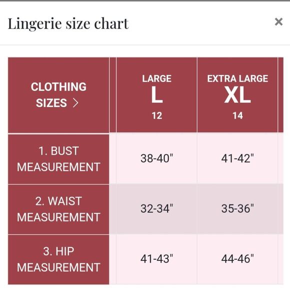 New With‎ Tags La Vie En Rose Size XL Long Sleeve Lace & Microfiber Teddy - Picture 5 of 12